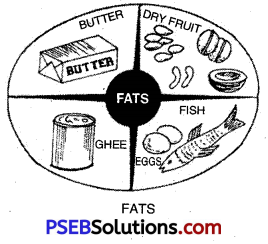 PSEB 10th Class Physical Education Solutions Chapter 2 Balanced Diet 8