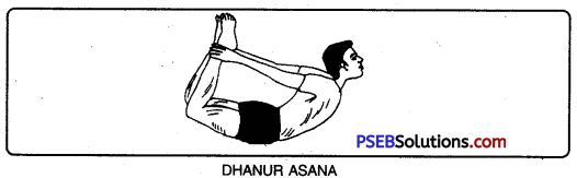 PSEB 10th Class Physical Education Solutions Chapter 3 Yoga 4