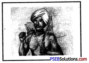 PSEB 8th Class Social Science Solutions Chapter 13 Colonialism and Tribal Society 1