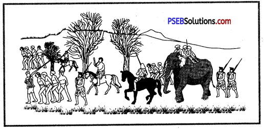 PSEB 8th Class Social Science Solutions Chapter 13 Colonialism and Tribal Society 3