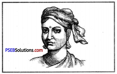 PSEB 8th Class Social Science Solutions Chapter 15 The Revolt of 1857 2