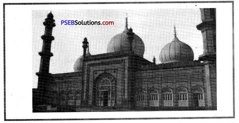 PSEB 8th Class Social Science Solutions Chapter 16 The Education and British Rule 5