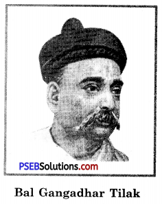 PSEB 8th Class Social Science Solutions Chapter 21 National Movement 1885-1919 3