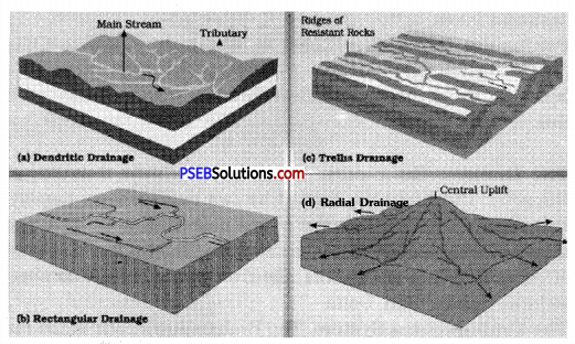 PSEB 9th Class SST Solutions Geography Chapter 3a India Drainage 2