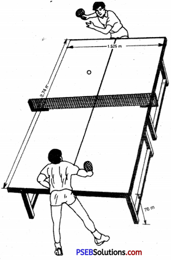 table tennis image 1