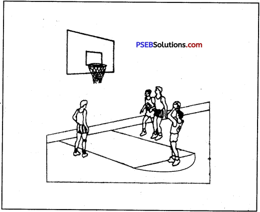 Basketball image 5