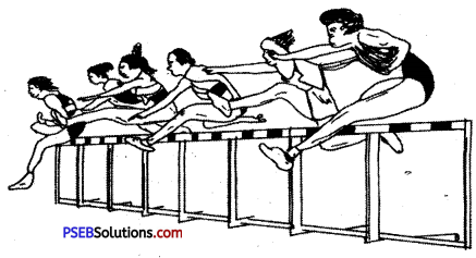 PSEB 10th Class Physical Education Solutions Athletics 7