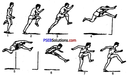 PSEB 10th Class Physical Education Solutions Athletics 8
