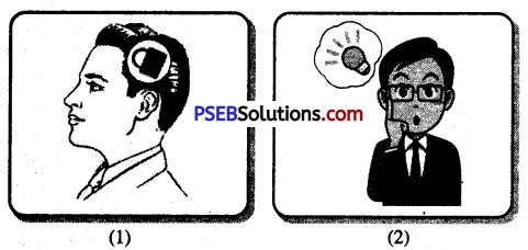 PSEB 10th Class Welcome Life Solutions Chapter 1 Self-Awareness and Self Discipline Img 1