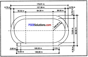 Pseb Th Class Physical Education Practical Athletics Pseb Solutions