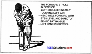 PSEB 12th Class Physical Education Practical Cricket 7