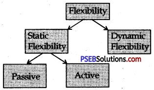 PSEB 12th Class Physical Education Solutions Chapter 1 Physical Fitness 3