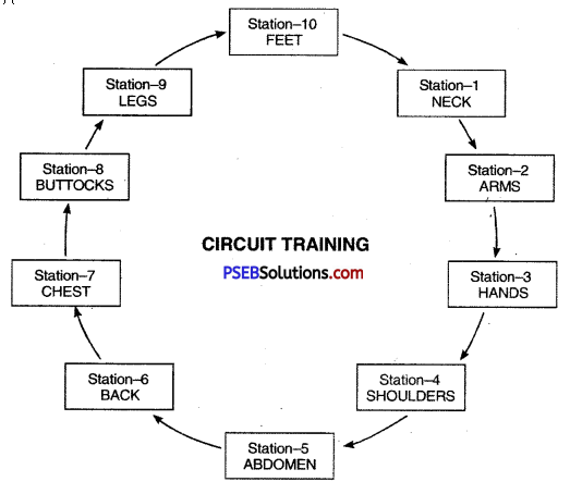 PSEB 12th Class Physical Education Solutions Chapter 2 Sports Training 1