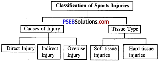 PSEB 12th Class Physical Education Solutions Chapter 4 Sport Injuries 3