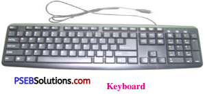 PSEB 6th Class Computer Solutions Chapter 7 Input Devices - 4