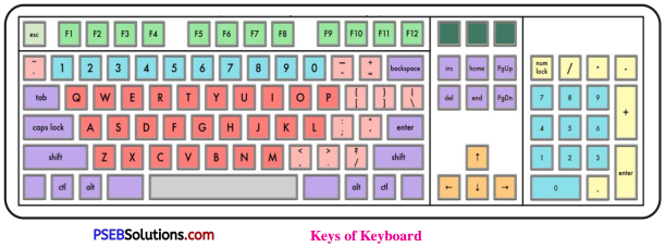PSEB 6th Class Computer Solutions Chapter 7 Input Devices - 6
