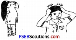 PSEB 6th Class Physical Education Solutions Chapter 1 Health 3