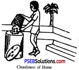 PSEB 6th Class Physical Education Solutions Chapter 2 Hygiene And Maintenance 1