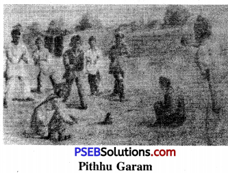 PSEB 6th Class Physical Education Solutions Chapter 4 Folk Games of Punjab 3