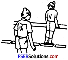 PSEB 6th Class Physical Education Solutions Chapter 5 Safety Education 2