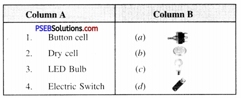 PSEB 6th Class Science Solutions Chapter 12 Electricity and Circuits 1
