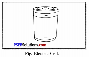 PSEB 6th Class Science Solutions Chapter 12 Electricity and Circuits 3