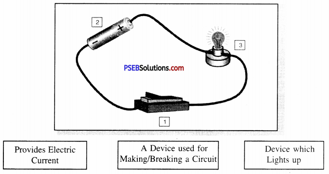 PSEB 6th Class Science Solutions Chapter 12 Electricity and Circuits 6