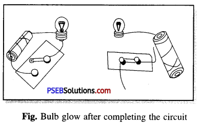 PSEB 6th Class Science Solutions Chapter 12 Electricity and Circuits 8