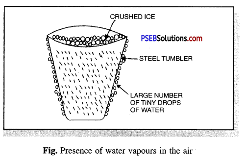 PSEB 6th Class Science Solutions Chapter 15 Air Around Us 3