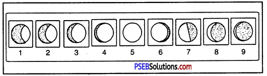 PSEB 6th Class Social Science Solutions Chapter 1 Earth - As a Member of Solar System 5