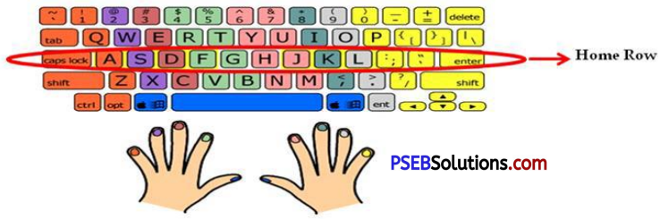 PSEB 7th Class Computer Solutions Chapter 1 Typing Tutor 1