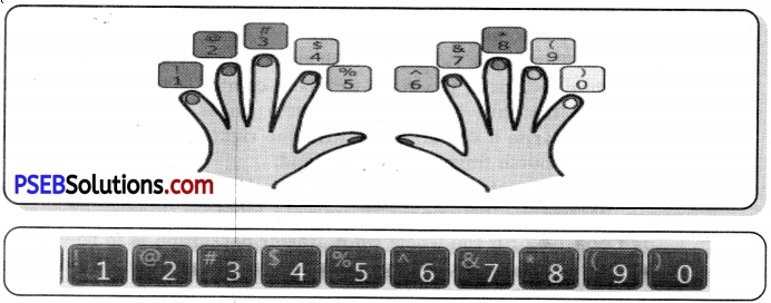 PSEB 7th Class Computer Solutions Chapter 1 Typing Tutor 11