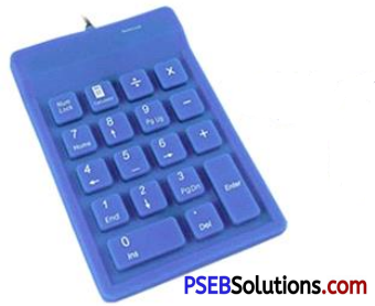 PSEB 7th Class Computer Solutions Chapter 1 Typing Tutor 4
