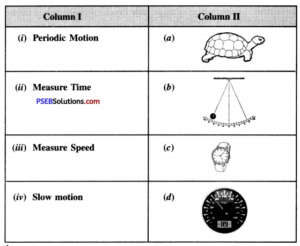 PSEB 7th Class Science Solutions Chapter 13 Motion and Time – PSEB ...