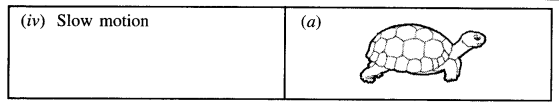 PSEB 7th Class Science Solutions Chapter 13 Motion and Time 3