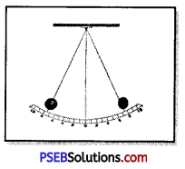 PSEB 7th Class Science Solutions Chapter 13 Motion and Time 5
