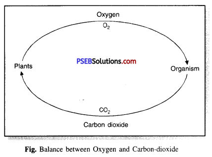 PSEB 7th Class Science Solutions Chapter 17 Forests Our Lifeline 1