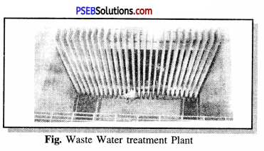 PSEB 7th Class Science Solutions Chapter 18 Wastewater Story 3