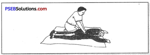 PSEB 8th Class Physical Education Solutions Chapter 1 First Aid 4