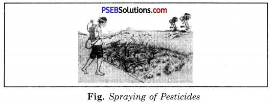PSEB 8th Class Science Solutions Chapter 1 Crop Production and Management 11