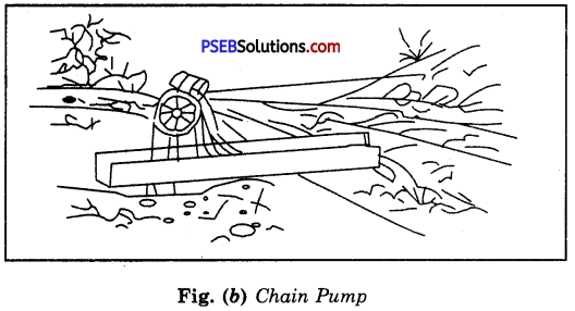 PSEB 8th Class Science Solutions Chapter 1 Crop Production and Management 16