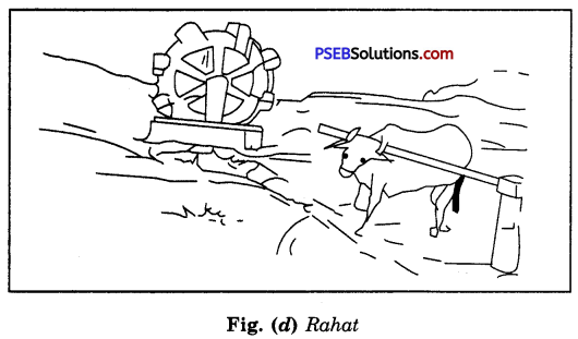PSEB 8th Class Science Solutions Chapter 1 Crop Production and Management 18