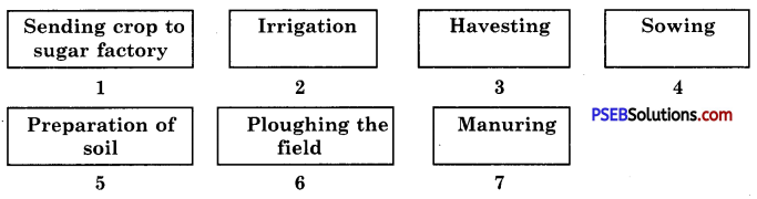 PSEB 8th Class Science Solutions Chapter 1 Crop Production and Management 4
