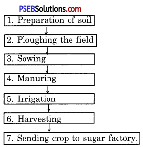 PSEB 8th Class Science Solutions Chapter 1 Crop Production and Management 5