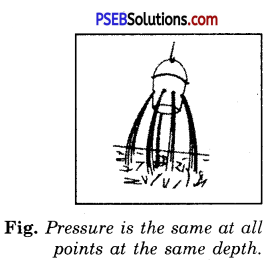 PSEB 8th Class Science Solutions Chapter 11 Force and Pressure 4