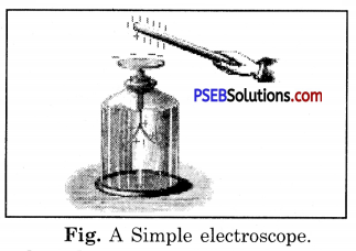 PSEB 8th Class Science Solutions Chapter 15 Some Natural Phenomena 1