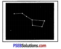 PSEB 8th Class Science Solutions Chapter 17 Stars and the Solar System 5