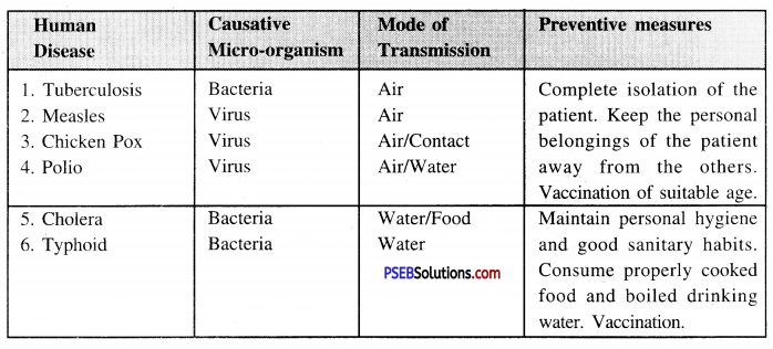 PSEB 8th Class Science Solutions Chapter 2 Microorganisms Friend and Foe 12