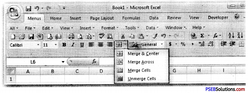 PSEB 9th Class Computer Notes Chapter 1 MS Excel Part-I 6