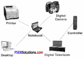 PSEB 9th Class Computer Notes Chapter 3 Networking Notes 17